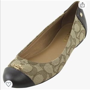 COACH Chelsea Khaki/Chestnut 10 M